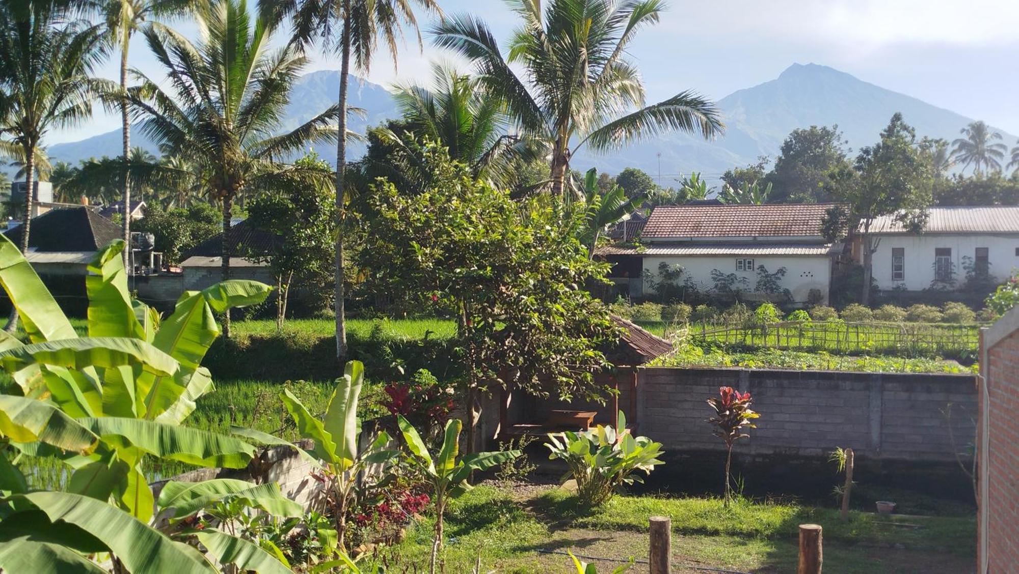 Arista Homestay Tetebatu Luaran gambar