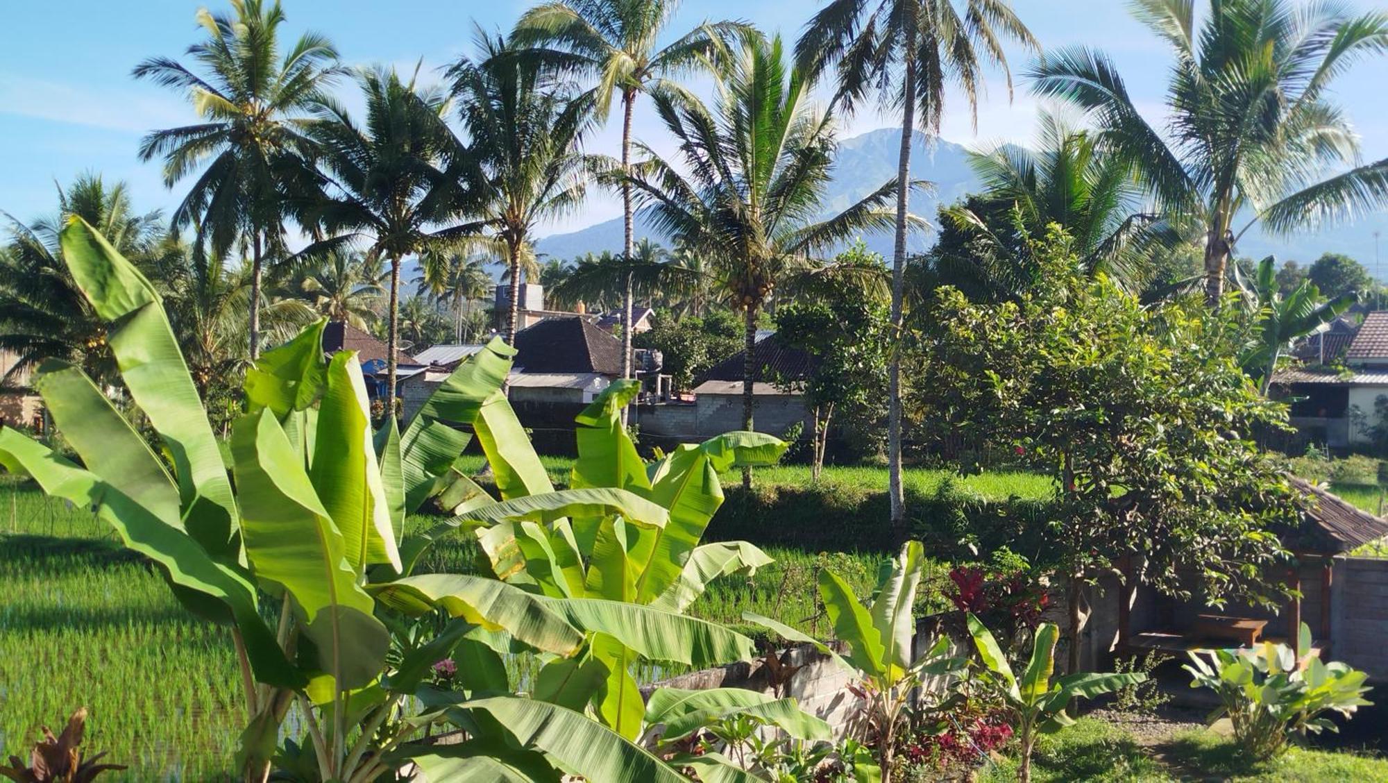 Arista Homestay Tetebatu Luaran gambar